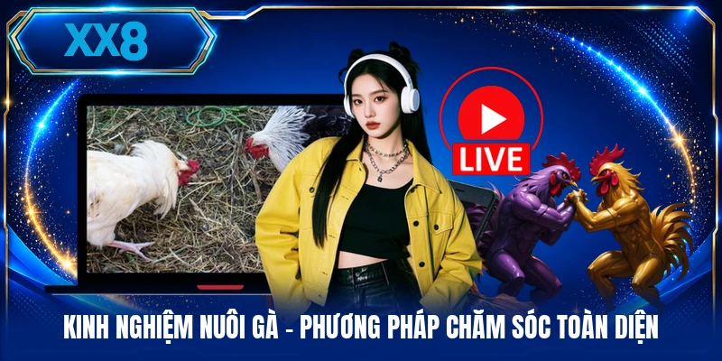 Kinh Nghiệm Nuôi Gà - Phương Pháp Chăm Sóc Toàn Diện